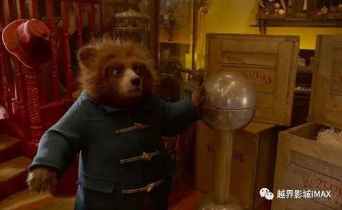 爆料娱乐圈博主熊婶,揭秘明星背后的惊人真相！